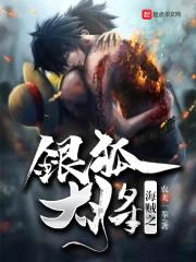 海贼之银狐大将封面