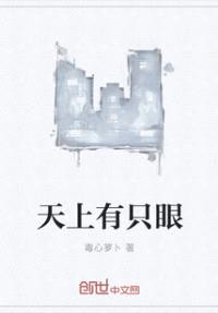 天上有只眼封面