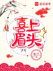 喜上眉头封面