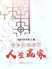 改嫁后我成了人生赢家封面