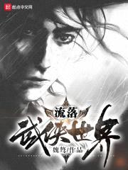 流落武侠世界封面