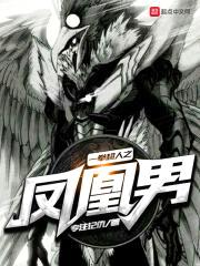一拳之凤凰男封面