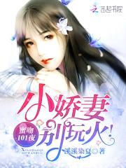 蜜吻101夜：小娇妻，别玩火！封面
