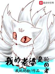 我的老婆是轮回者封面