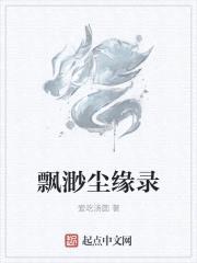 飘渺尘缘录封面