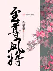 至尊凤将封面