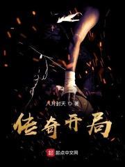 传奇开局封面