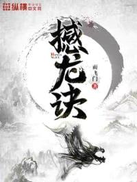 撼龙诀封面