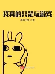 我真的只是玩游戏封面