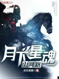月下星魂山河路封面
