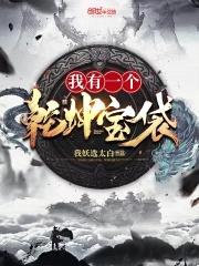 我有一个乾坤宝袋封面