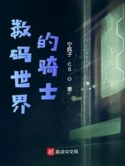 数码世界的骑士封面