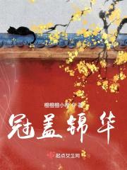 冠盖锦华封面
