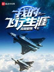 我的飞行生涯封面