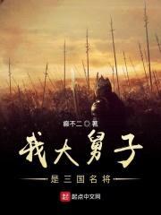 我大舅子是三国名将封面