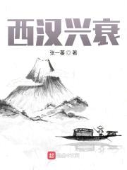 西汉兴衰封面