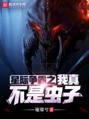 星际争霸之使徒行者封面