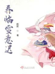 春临雪意迟封面