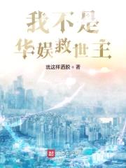 我不是华娱救世主封面