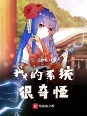 我的系统很奇怪封面