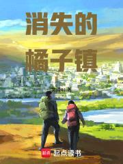 消失的橘子镇封面