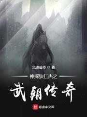 神探狄仁杰之武朝传奇封面