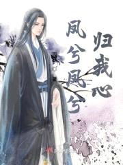 凤兮凤兮归我心封面