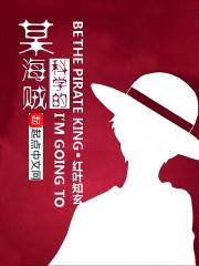 某科学的海贼封面