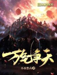 万气争天封面