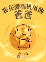 装在游戏机里的爸爸封面