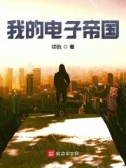 我的电子帝国封面