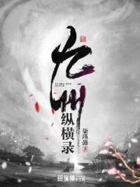九州纵横录封面