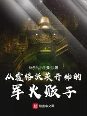 从霍格沃茨开始的军火贩子封面