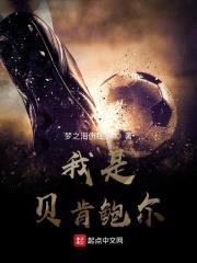 我是贝肯鲍尔封面