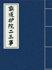 霸道护院二三事封面