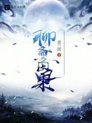 聊斋之因果封面