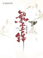 繁尘锦封面