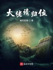 大佬请归位封面