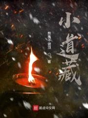 小道藏封面