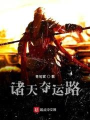 诸天夺运路封面