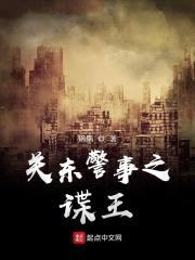 关东警事之谍王封面