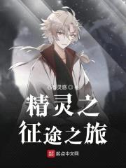 精灵之征途之旅封面