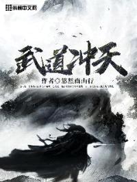 武道冲天封面