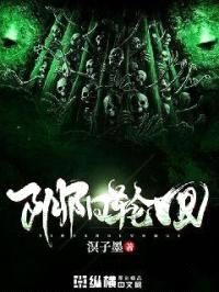 阴阳轮回封面
