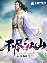 不尽江山封面