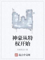 神豪从特权开始封面