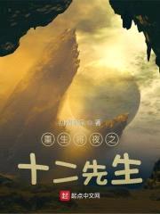重生将夜之十二先生封面
