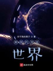 颠倒的游戏世界封面