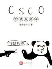 CSGO之最强选手封面
