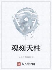 魂刻天柱封面